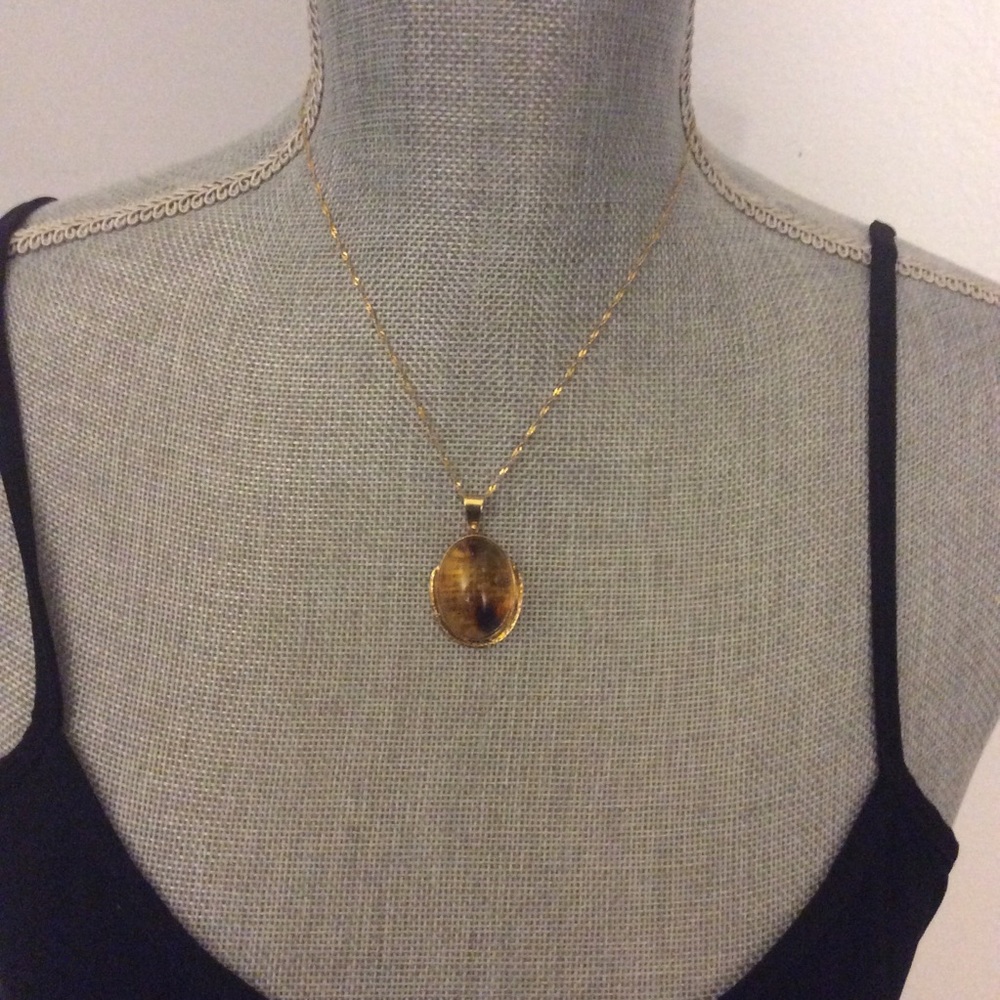 Authentic Amber from the Dominican Republic.